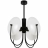 Люстра потолочная FREYA ELLIPSE FR5320PL-04B