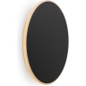Настенный светильник (бра) Touchstone FR6002WL-L20B