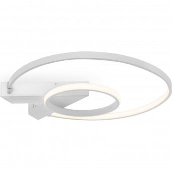 Потолочная люстра FREYA DIANE FR6020CL-L31W Потолочная люстра FREYA DIANE FR6020CL-L31W