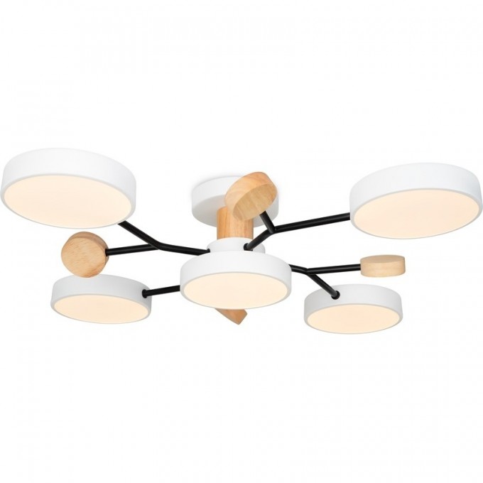 Потолочный светильник FREY CROWN FR6119CL-L60W Потолочный светильник FREY CROWN FR6119CL-L60W