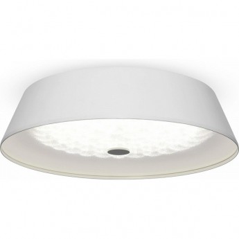 Потолочный светильник FREYA CELLS FR10013CL-L24W