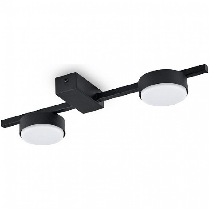 Потолочный светильник FREYA FR5363CL-02B Потолочный светильник FREYA FR5363CL-02B
