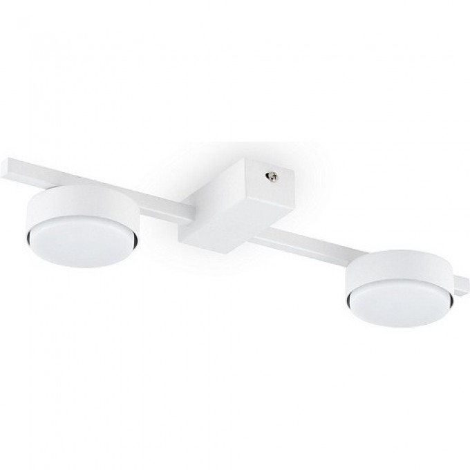 Потолочный светильник FREYA FR5363CL-02W Потолочный светильник FREYA FR5363CL-02W