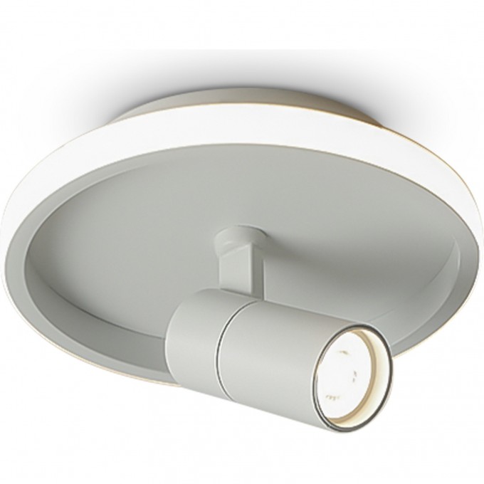 Потолочный светильник FREYA NEO FR6040CL-L14W Потолочный светильник FREYA NEO FR6040CL-L14W
