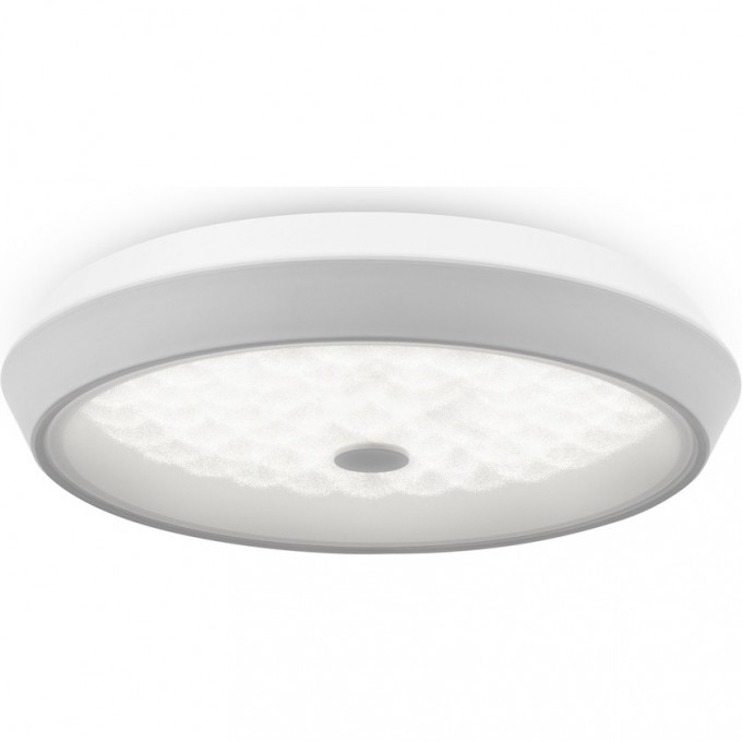 Потолочный светильник FREYA CELLS FR10012CL-L24W Потолочный светильник FREYA CELLS FR10012CL-L24W