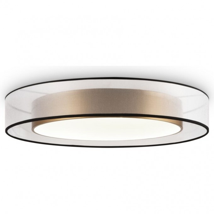 Потолочный светильник Zoticus FR6005CL-L48G