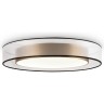 Потолочный светильник Zoticus FR6005CL-L48G